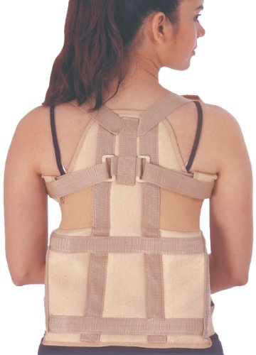 Flamingo Dorsolumbar Spinal Brace